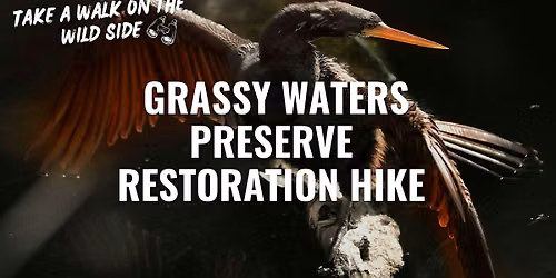 Grassy Water Preserve Restoration Hike