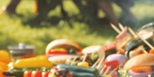 Meet & Greet BBQ\/Potluck\/Picnic