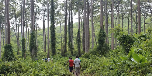 \u099f\u09c7\u0995\u09a8\u09be\u09ab , \u0987\u09a8\u09be\u09a8\u09c0, \u09a8\u09be\u0987\u0995\u09cd\u09b7\u09cd\u09af\u0982\u099b\u09a1\u09bc\u09bf\u09b0 \u0995\u09bf\u099b\u09c1 \u0985\u09a6\u09c7\u0996\u09be \u099c\u09be\u09df\u0997\u09be\u09df \u09b8\u09ae\u09c1\u09a6\u09cd\u09b0, \u09aa\u09cd\u09b0\u09be\u0995\u09c3\u09a4\u09bf\u0995 \u09ac\u09a8, \u09aa\u09be\u09b9\u09be\u09dc, \u09aa\u09cd\u09b0\u09be\u0995\u09c3\u09a4\u09bf\u0995 \u0997\u09c1\u09b9\u09be \u09ad\u09cd\u09b0\u09ae\u09a3