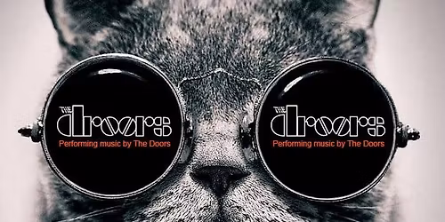 Bands on the Beach - The Droors