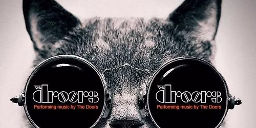 Bands on the Beach - The Droors