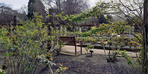 Curator Tour - Rose and Herbaceous Gardens