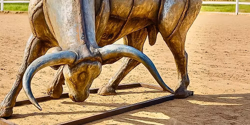 Open Day Weekend - Perfect for Christmas shopping