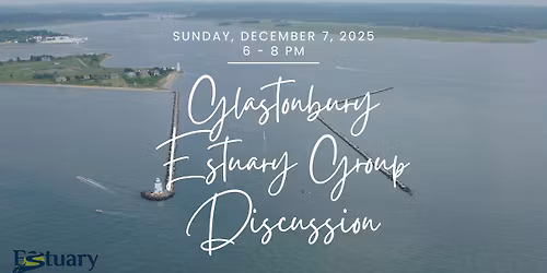 Glastonbury Estuary Group Discussion