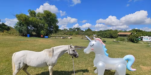 Obstacle Challenge Series - 1