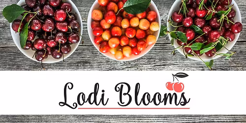 Lodi Blooms Cherry U-Pick \ud83c\udf52