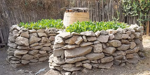 Keyhole Gardening: A Drought-Friendly Twist on Raised Beds