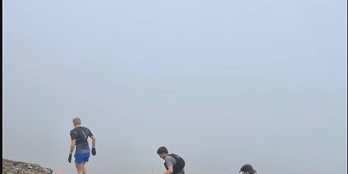 Veins of Gold Mountain Race