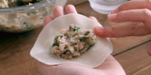 Handmade Dumplings - Sacramento