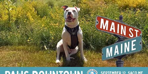 Pittie Posse Rescue @ Paws Downtown