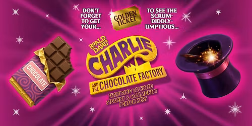 Roald Dahl's Charlie and The Chocolate Factory