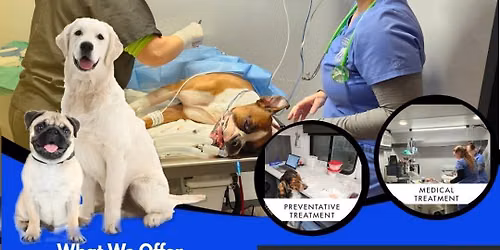 Mobile Vet - Dog & Cat vaccination and medical needs