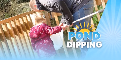 Summer at Aldingbourne: Pond Dipping