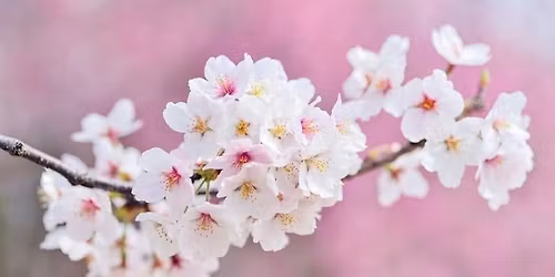 Kev\u00e4tunelmia- konsertti