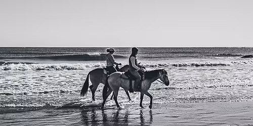 The Confident Cowgirl