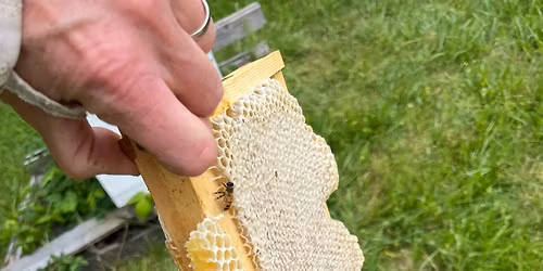 Honey Booth at the Market