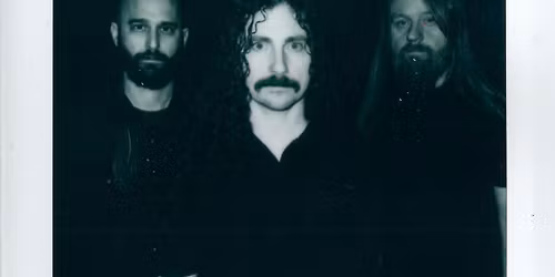 Stygian Bough w\/ 40 Watt Sun