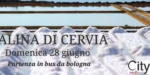 Partenza in bus da Bologna : CERVIA | Sale, fenicotteri e Romagna \u2014 una giornata che sa di mare