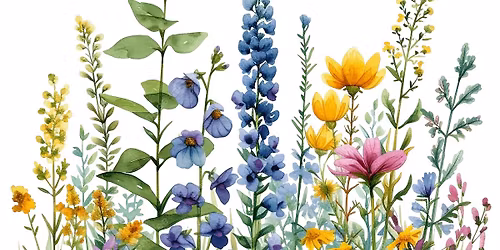 Plant & Flower Sale Fundraiser