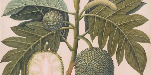 First Look | Painters, Ports, and Profits: Artists and the East India Company, 1750\u20131850