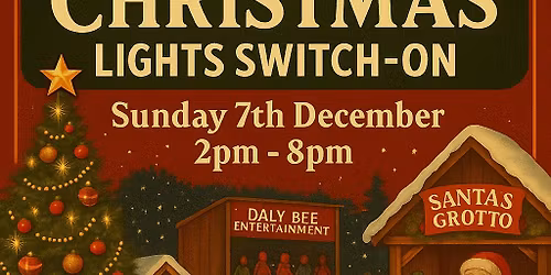 Vivian Park, Christmas light Switch On