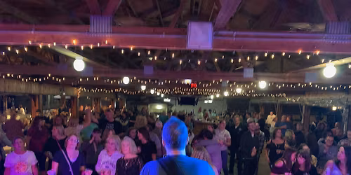 Buzzards at Steel Pub