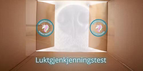Luktgjenkjenningstest - alle dufter 