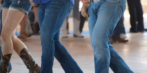 Line Dance-Log Art Dance