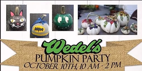 Annual Pumpkin Party