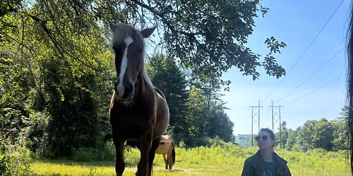 Peace in the Pasture- Meditation with horses