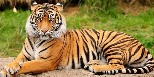 MHS Class of 1985 (and friends) 40 Year Reunion