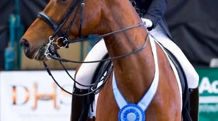 2026 CDS Southern Adult Amateur Clinic with Patty Mayer