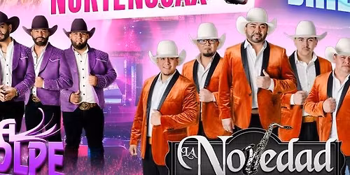 CONTRA GOLPE, LA NOVEDAD NORTE\u00d1A & MAS