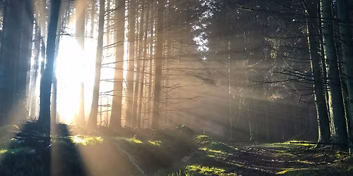 Rest, Restore & Return to the Light-A Winter Solstice Solace