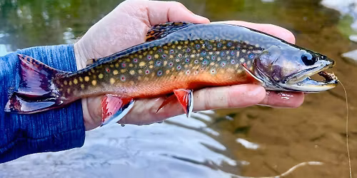 Stanley Cooper Trout Unlimited 33rd Annual Banquet 