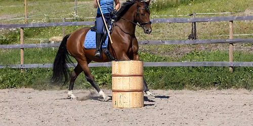 Working Equitation helge kurs.