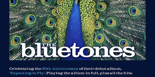 The Bluetones: 'Expecting To Fly' 30th Anniversary Tour