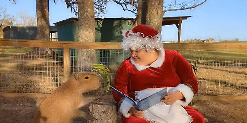 North Pole Express Safari