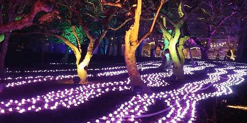 Christmas with City Hospice