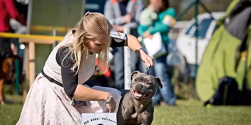 Krajsk\u00e1 v\u00fdstava ps\u016f v\u0161ech plemen (mimo NO)