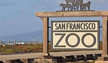 Family Adventure: San Francisco Zoo Wild Coast Quest
