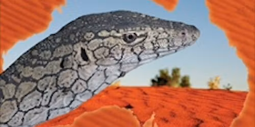 Reptiles of the Red Centre Book Launch