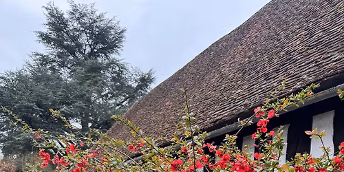 Henley town, river and woodlands walk