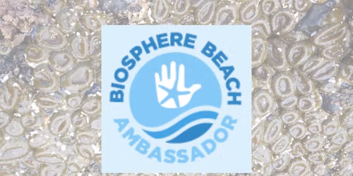 Biosphere Beach Ambassador