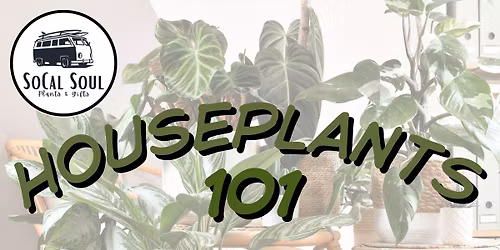 Houseplants 101
