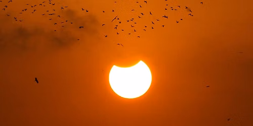 PLAZAS AGOTADAS! Eclipse solar y cena en Mar\u00eda La Jacinta, Aznalc\u00e1zar