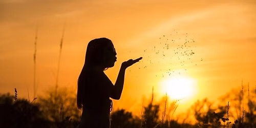 Sunset Photography Meetup