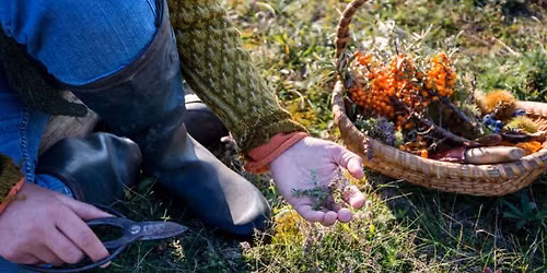 Guided Foraging Walk