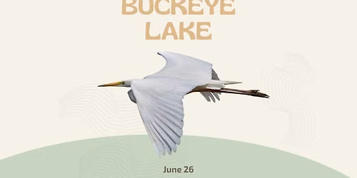Birds of Buckeye Lake