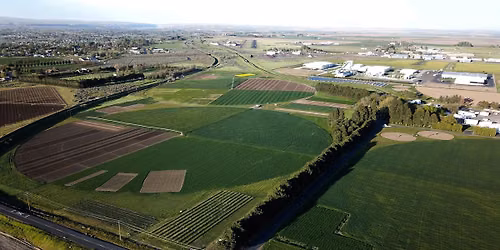Hermiston Potato Field Day